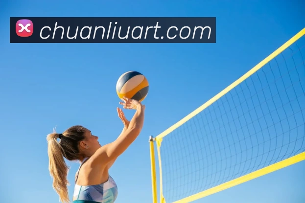 开云在线登陆入口发展历程